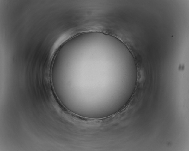 X0000092280004200709281255