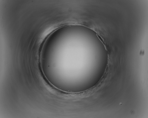 X0000092280005200709281255