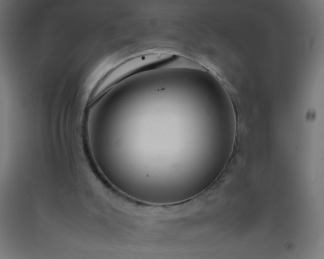 X0000092280007200709281255