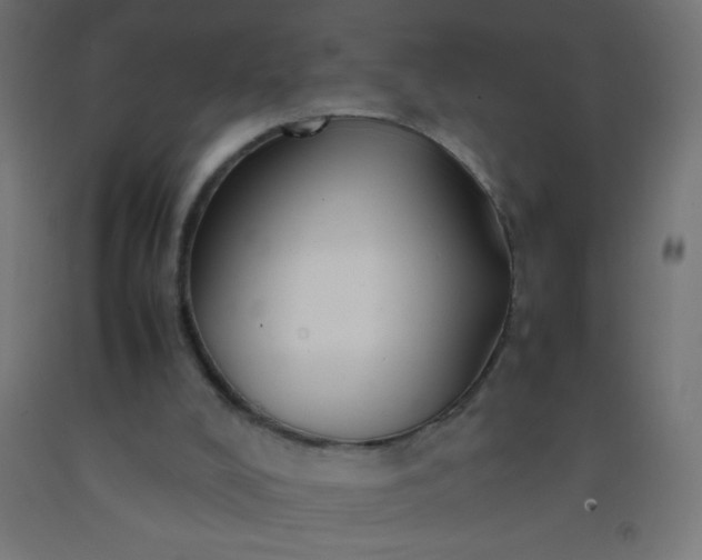 X0000092280008200709281255