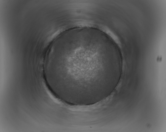 X0000092280009200709281255