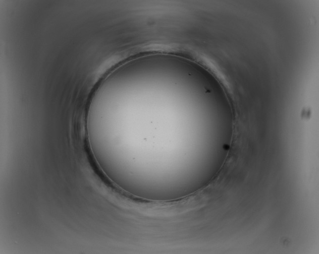 X0000092280011200709281255