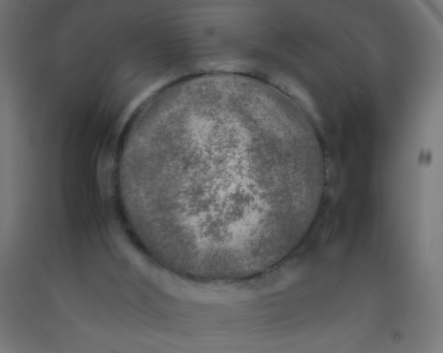 X0000092280012200709281255