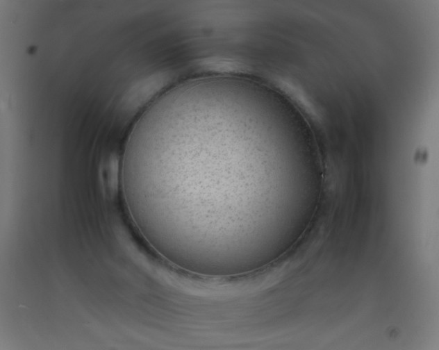 X0000092280014200709281255