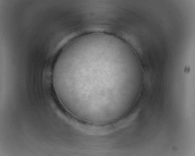 X0000092280016200709281255