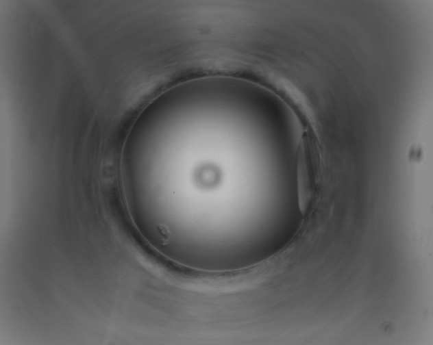 X0000092280017200709281255