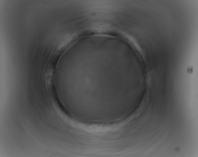 X0000092280018200709281255