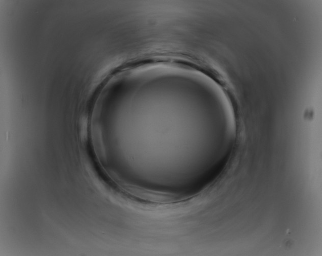 X0000092280019200709281255