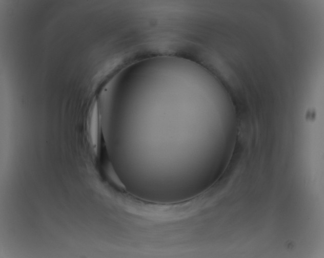 X0000092280023200709281255