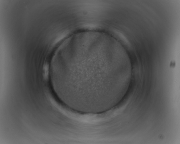 X0000092280024200709281255