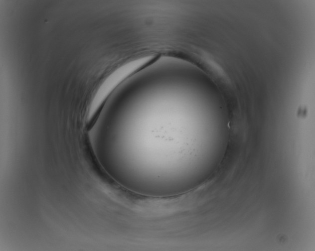 X0000092280025200709281255