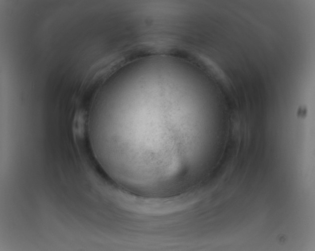 X0000092280026200709281255