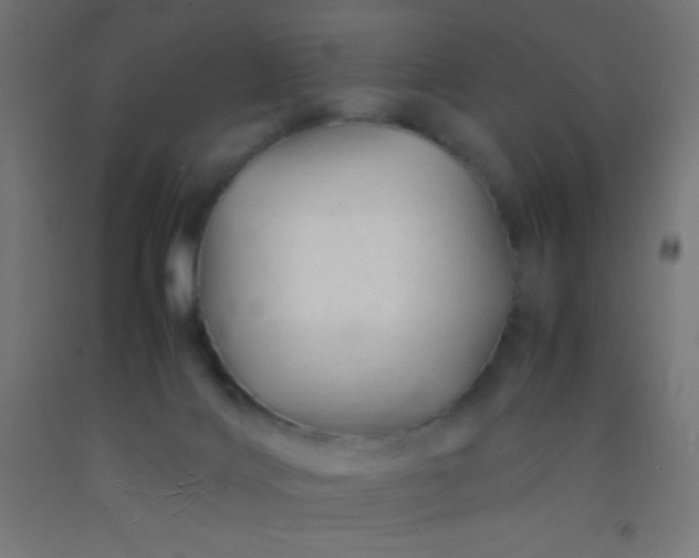 X0000092280028200709281255