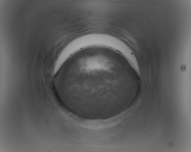 X0000092280029200709281255