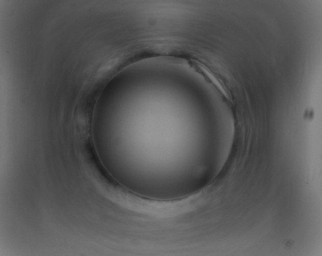 X0000092280031200709281255