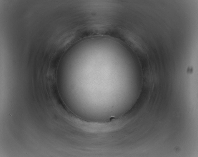 X0000092280034200709281255