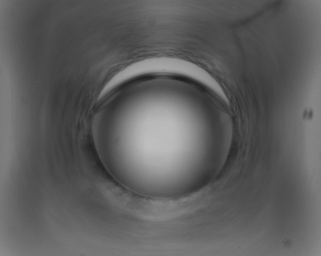 X0000092280037200709281255