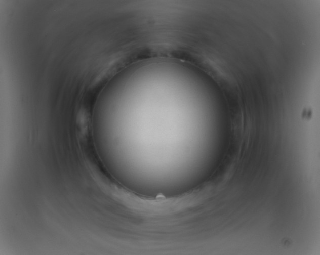 X0000092280038200709281255