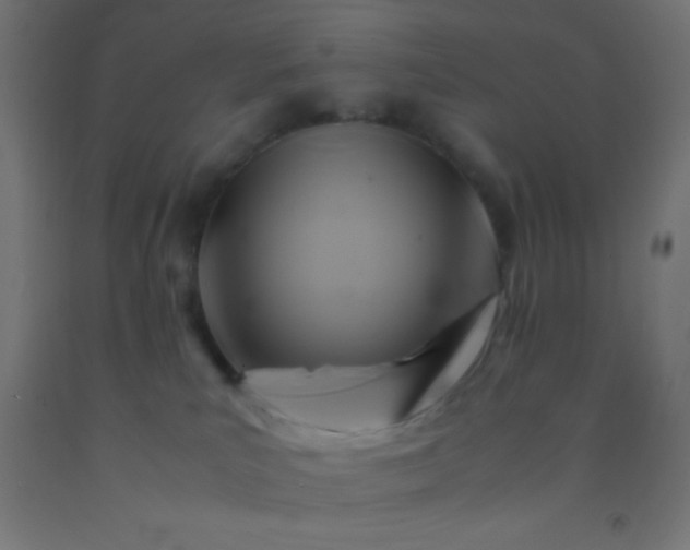 X0000092280039200709281255