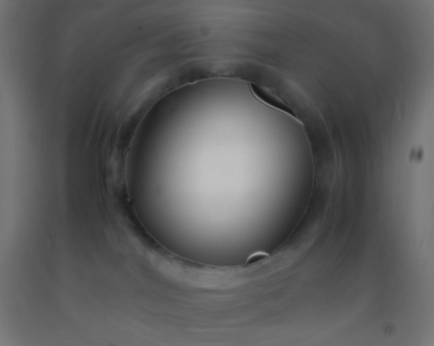 X0000092280044200709281254