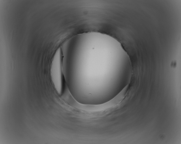 X0000092280045200709281254