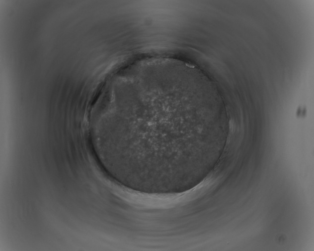 X0000092280048200709281254