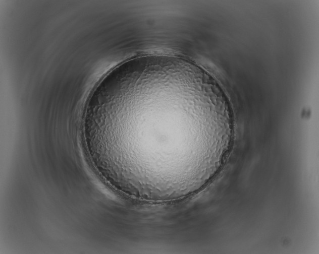 X0000092280049200709281254