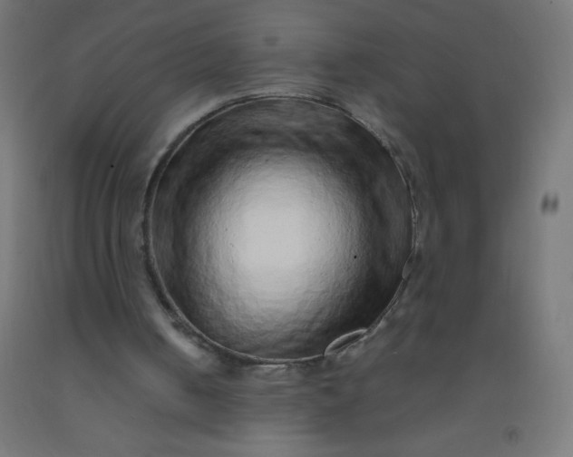 X0000092280050200709281254