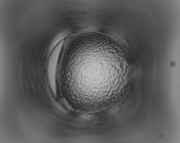 X0000092280051200709281254