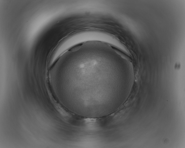 X0000092280052200709281254