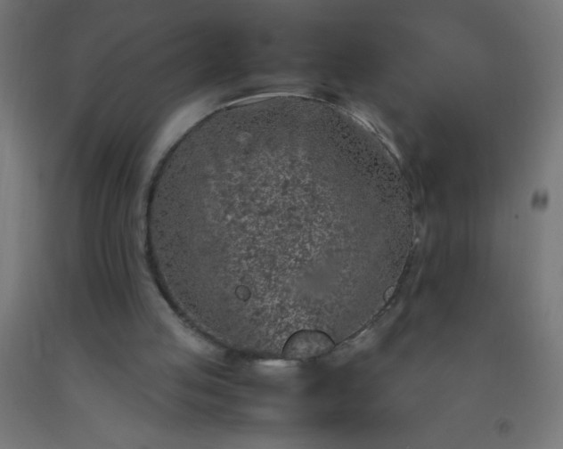 X0000092280053200709281254