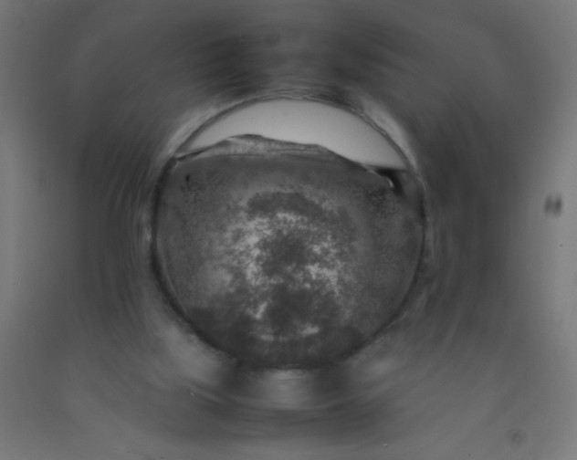 X0000092280059200709281254