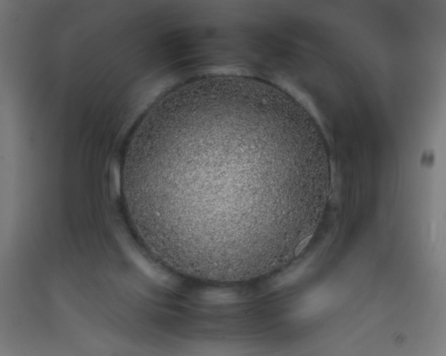 X0000092280061200709281254