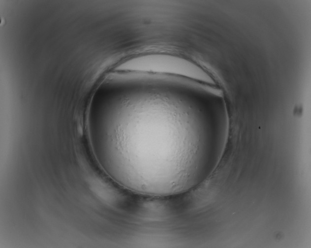 X0000092280062200709281254