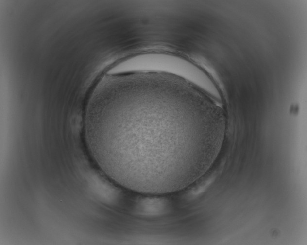 X0000092280063200709281254