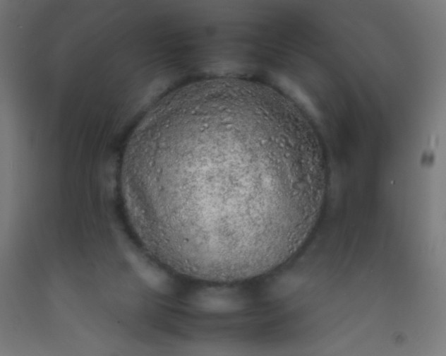 X0000092280065200709281254