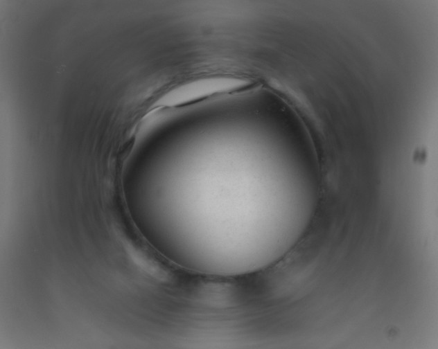 X0000092280066200709281254