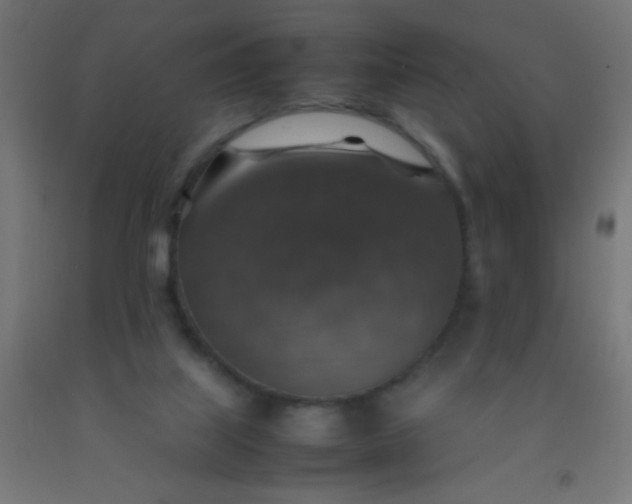 X0000092280067200709281254