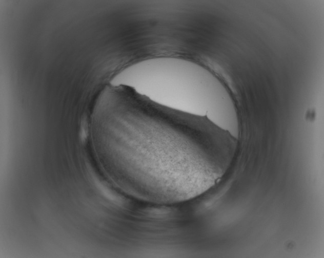 X0000092280069200709281254