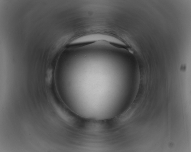 X0000092280070200709281254