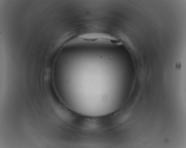 X0000092280071200709281254