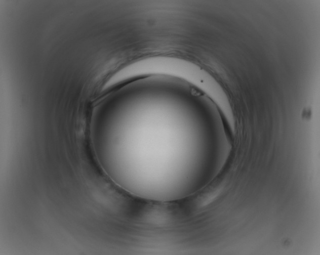 X0000092280072200709281254