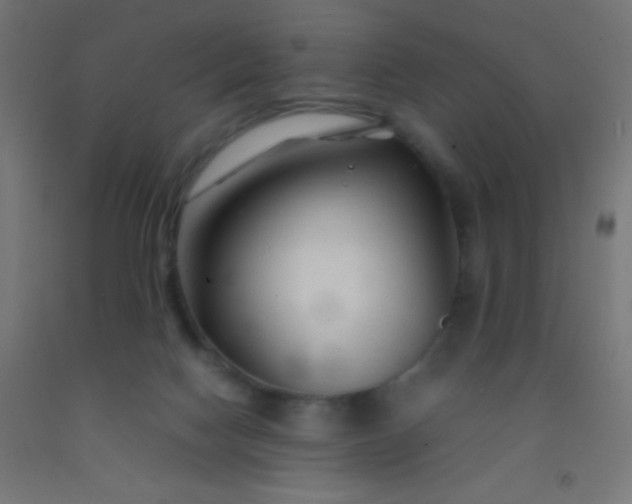 X0000092280074200709281254