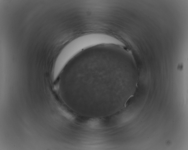 X0000092280076200709281254