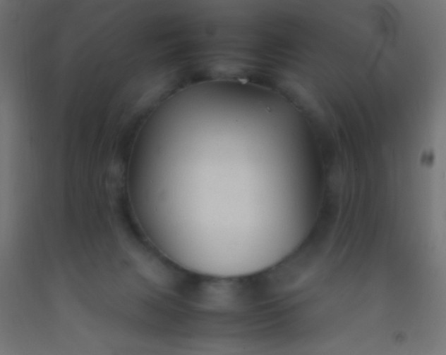 X0000092280079200709281254