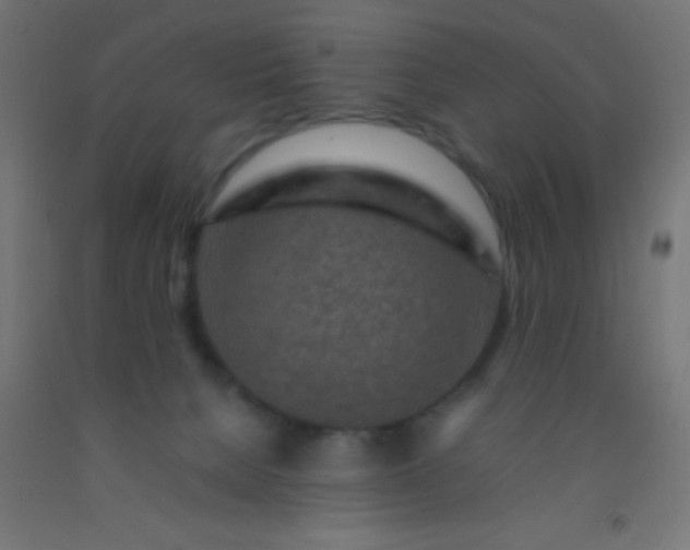 X0000092280080200709281254