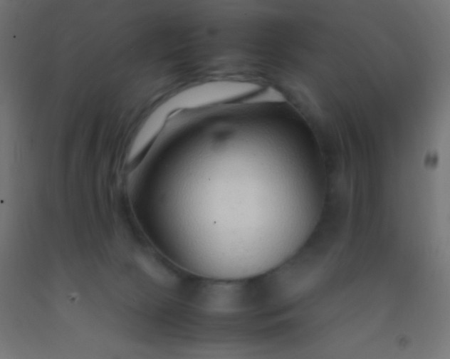 X0000092280081200709281254