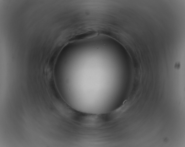 X0000092280086200709281254