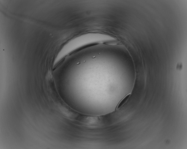 X0000092280089200709281254