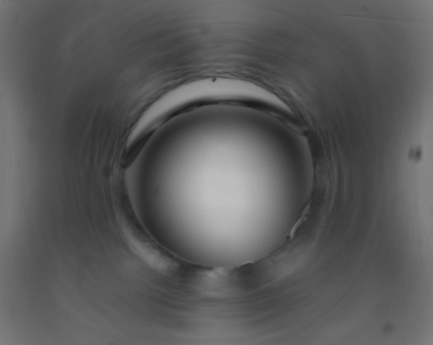 X0000092280092200709281254